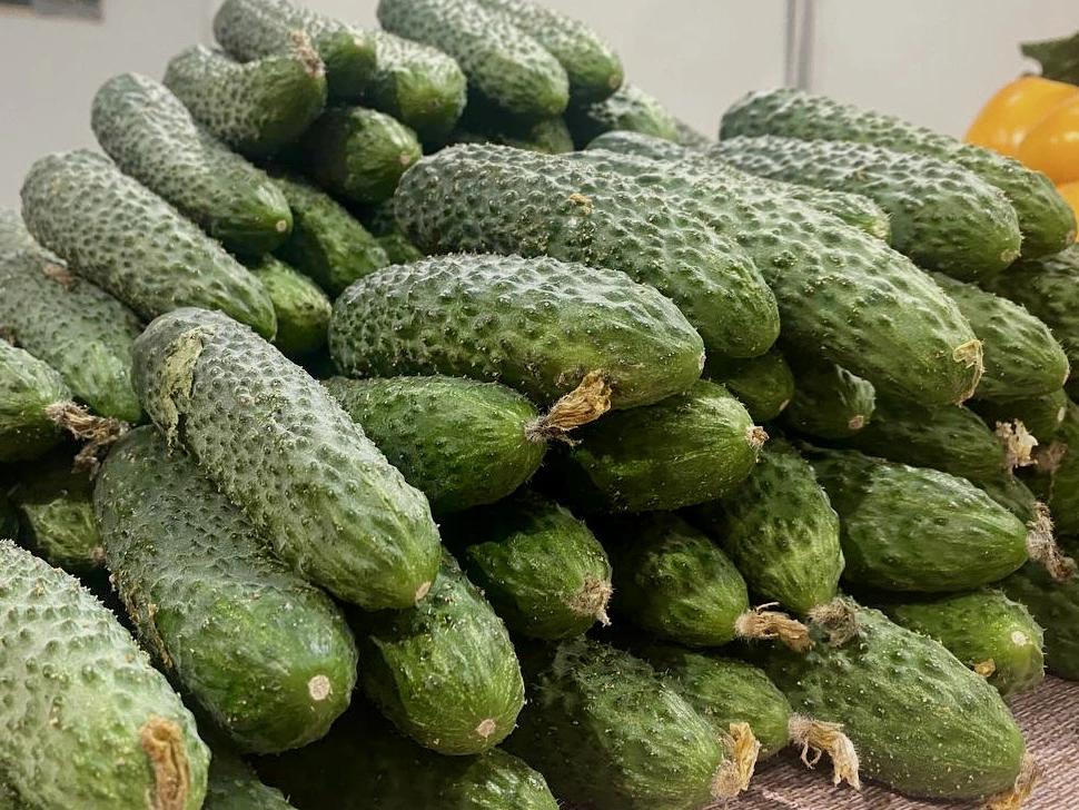 РБК Краснодар