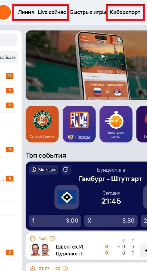 Интерфейс десктопного сайта &laquo;Винлайн&raquo; с мобильного телефона