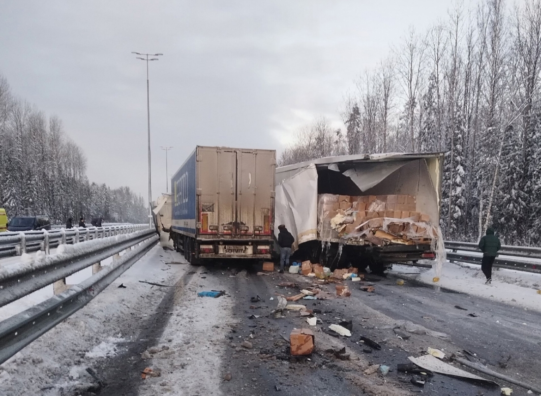 Фото: spb_today / VK