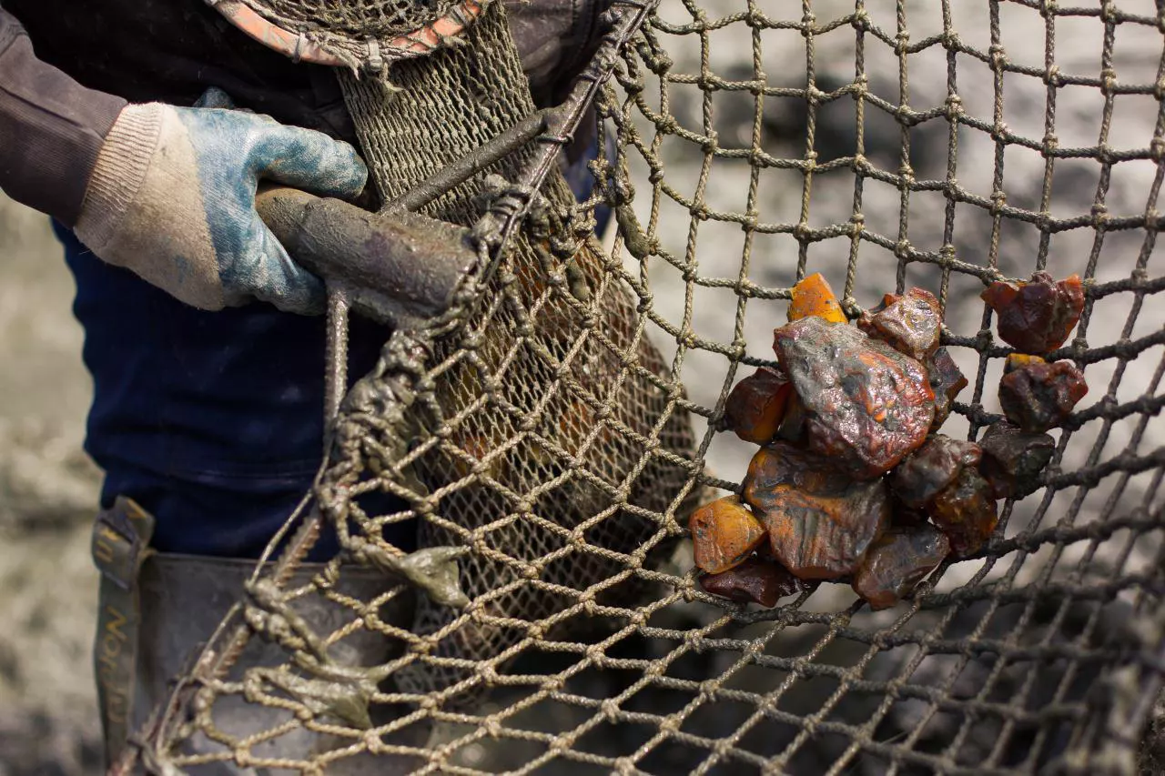 Александр Подгорчук