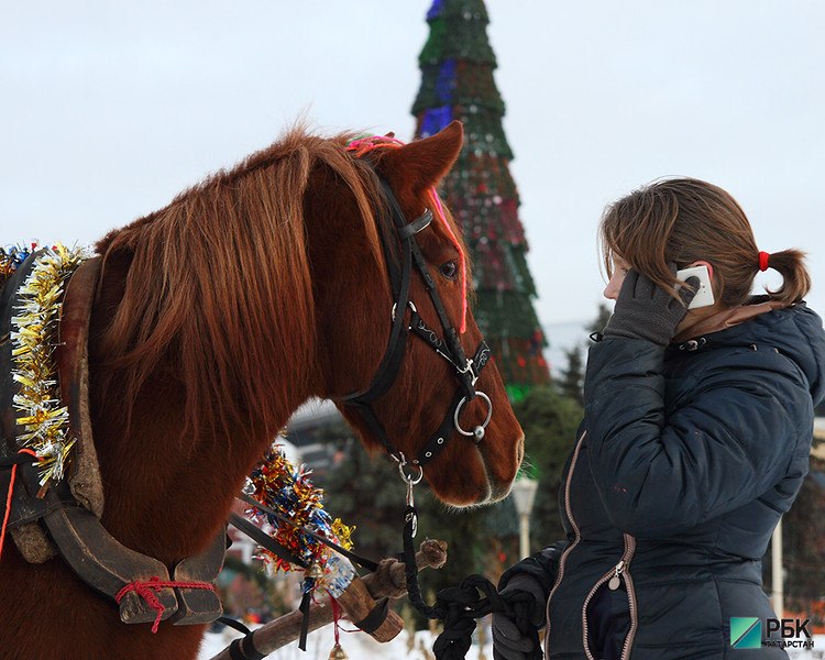 Фото: РБК Татарстан