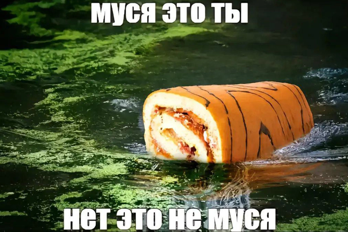 Мем с Мусей может строиться вокруг чего угодно — животных, предметов или людей