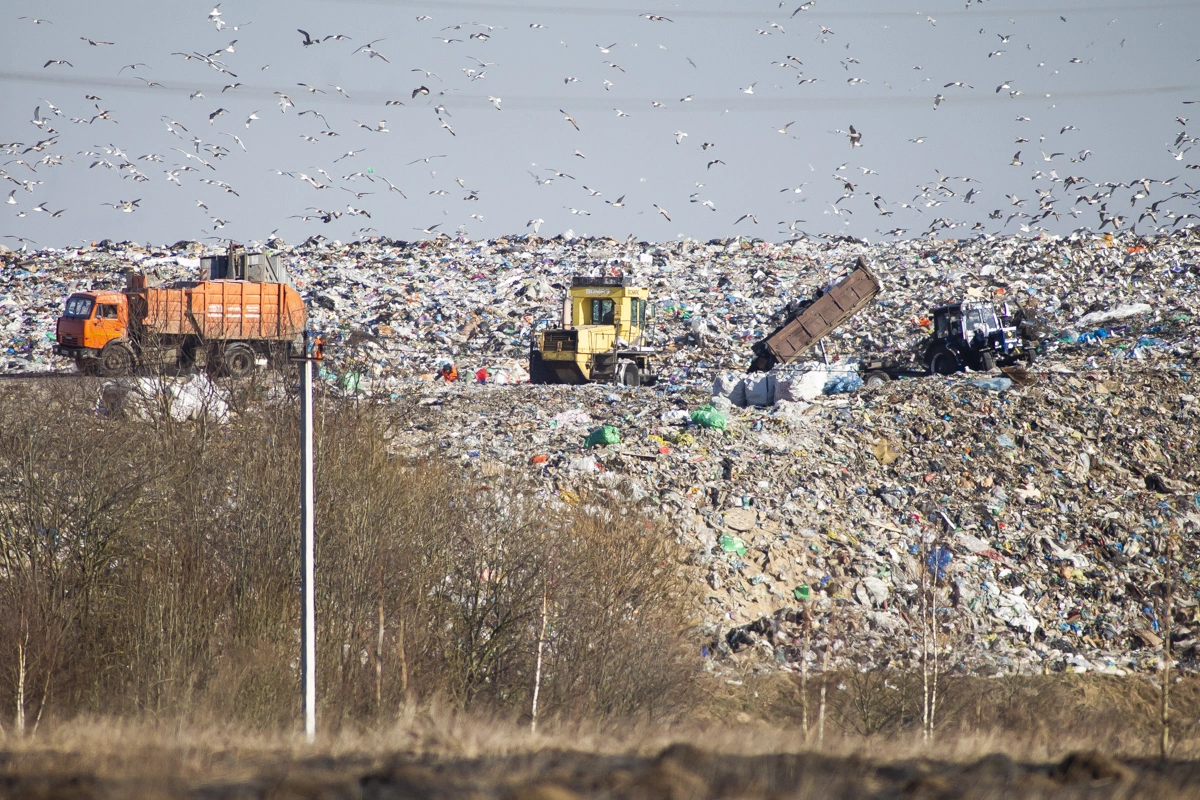 Александр Подгорчук