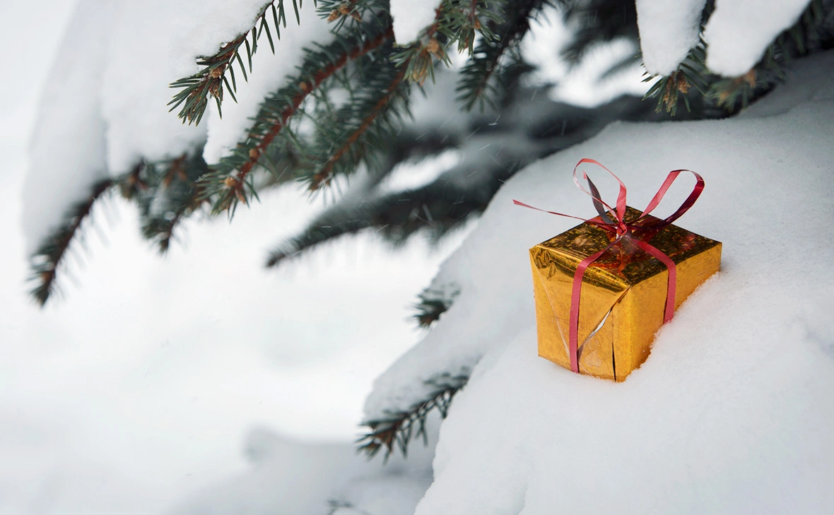 Николай Гынгазов / Global Look Press