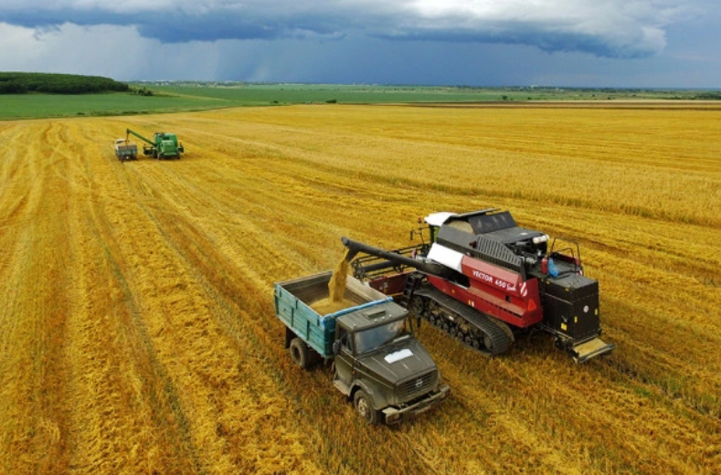 Юрий Смитюк / ТАСС