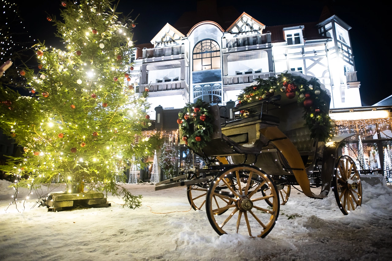 Александр Подгорчук