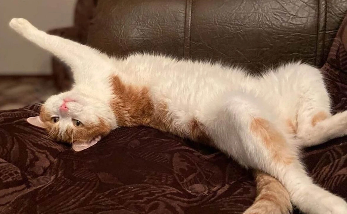 Ольга Кудряшова / VK