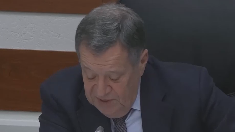 В Госдуме поспорили о национальности Чебурашки