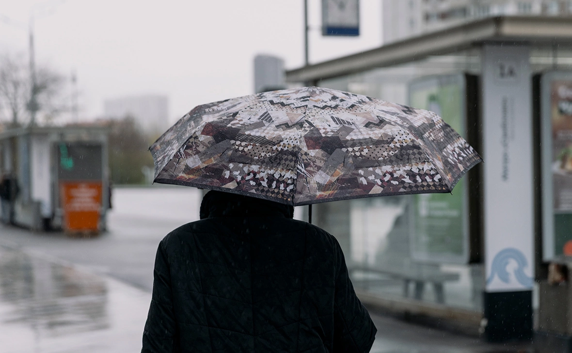 Михаил Гребенщиков / РБК