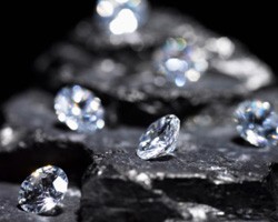 В Париже из могилы пуделя украли бриллиантовый ошейник