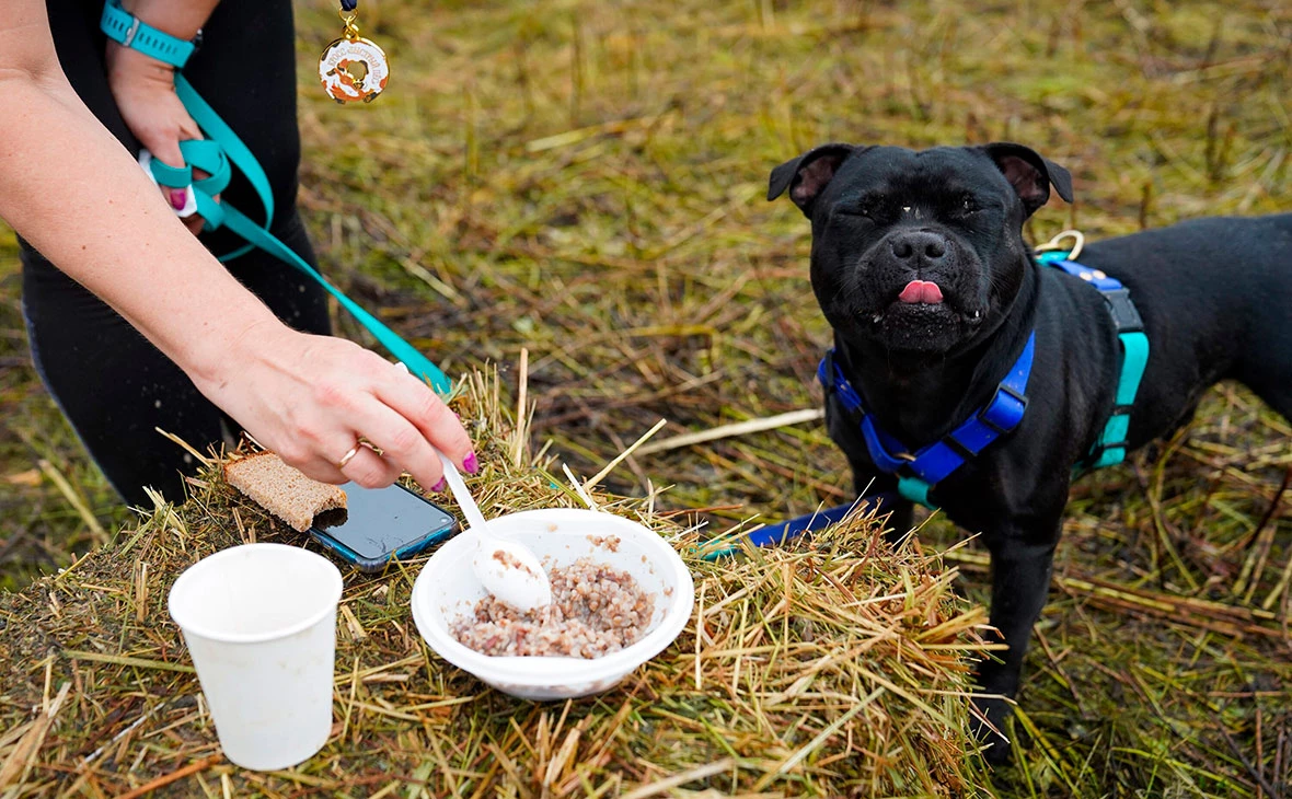 Пелагия Тихонова / АГН «Москва»