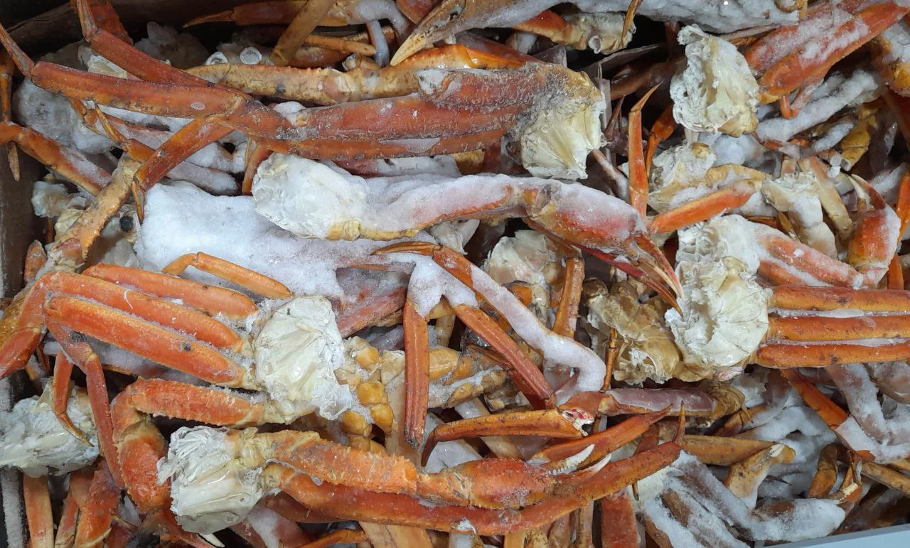 РБК Приморье 