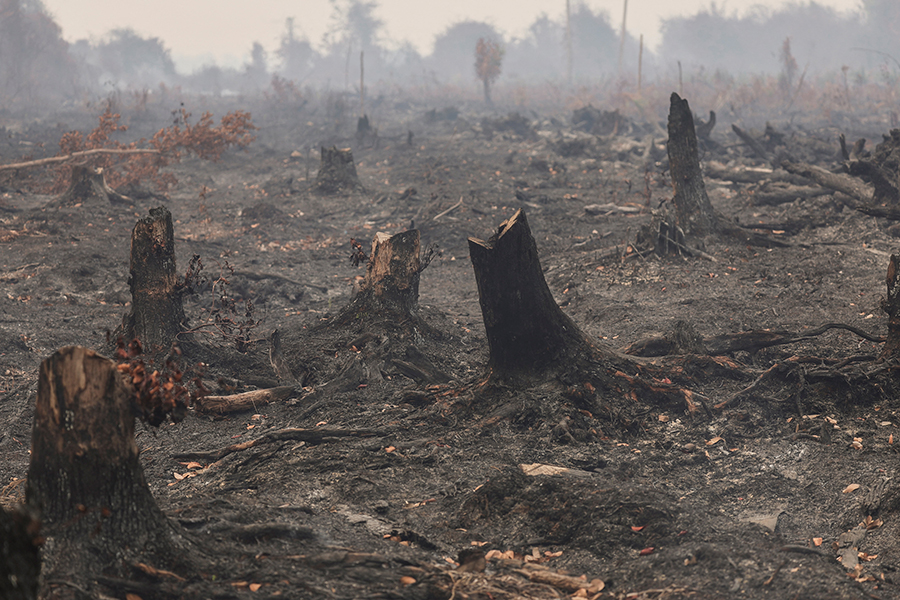 Willy Kurniawan / Reuters
