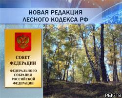 Совет Федерации одобрил новую редакцию Лесного кодекса