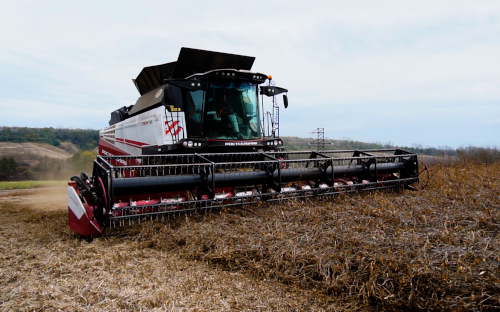 Фото: РБК Черноземье 