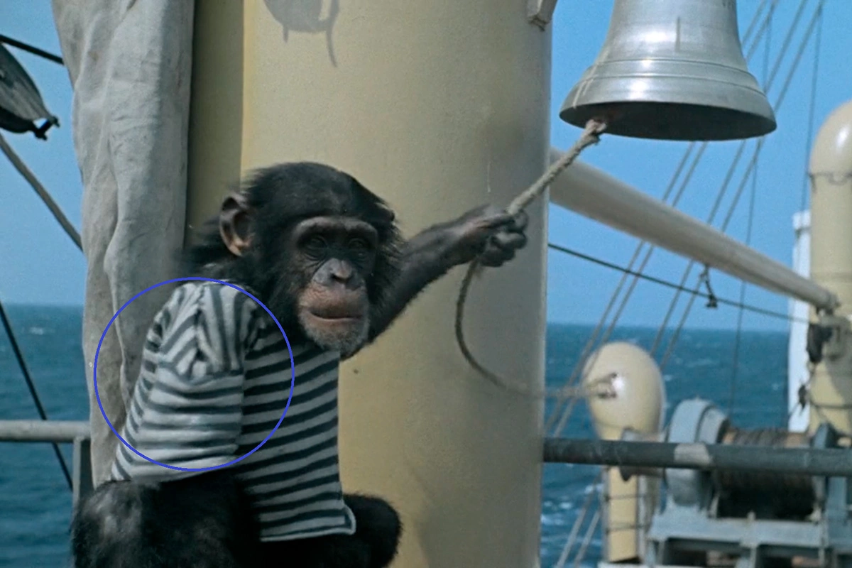 Шимпанзе в тельняшке, кадр из фильма «Полосатый рейс» (1961), режиссер Владимир Фетин