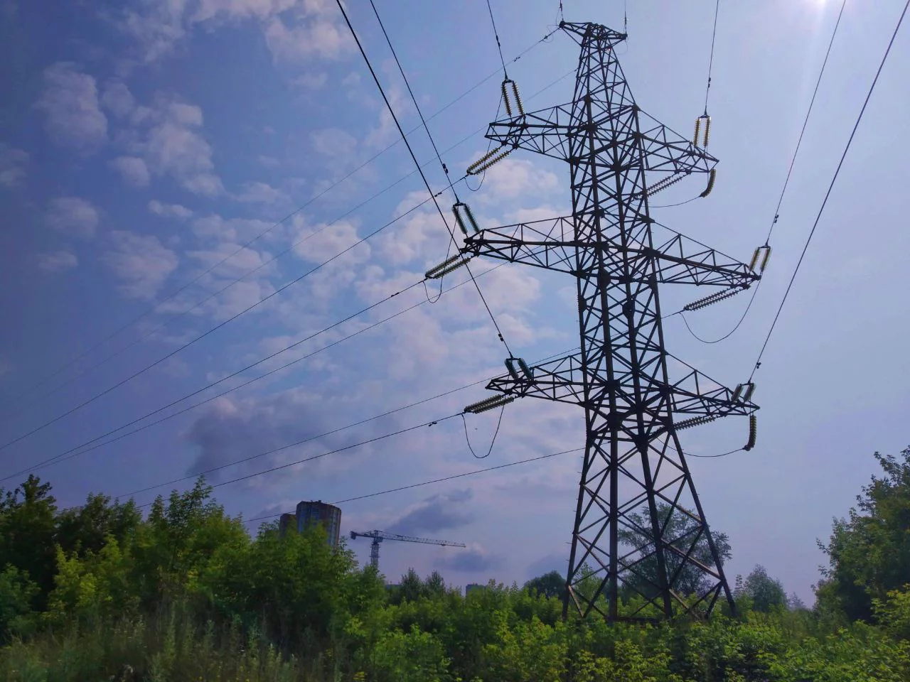 Алексей Коваленок / РБК Новосибирск