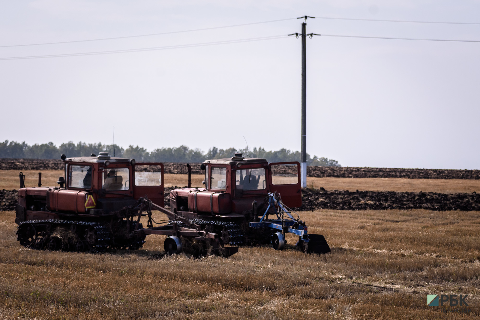 Солнечный удар: чего ждать аграриям Татарстана от банков во время засухи