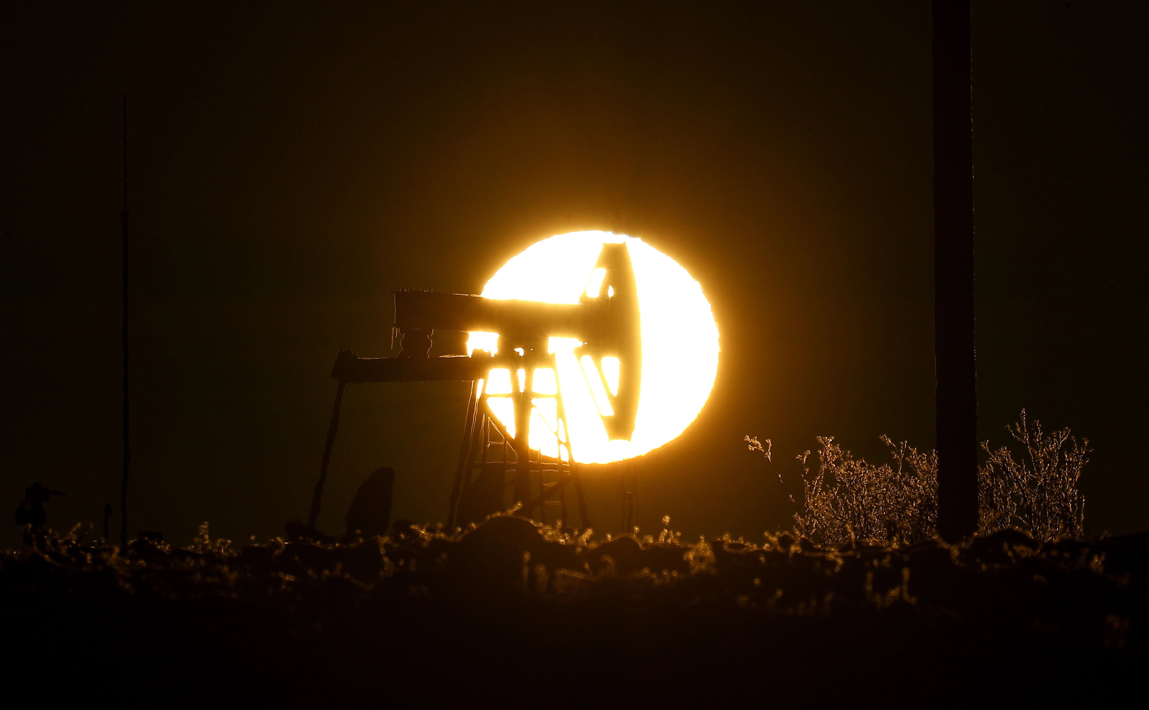 Егор Алеев / ТАСС