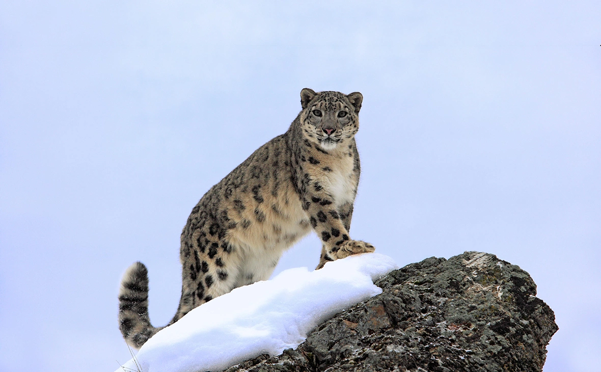 jspix / imageBROKER.com / Global Look Press