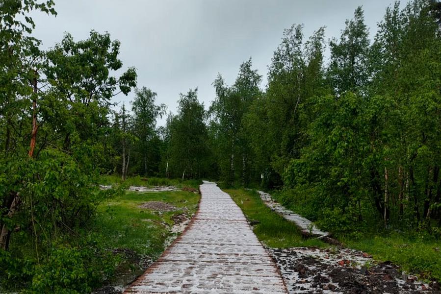 Фото: Дирекция ООПТ Пермского края / VK