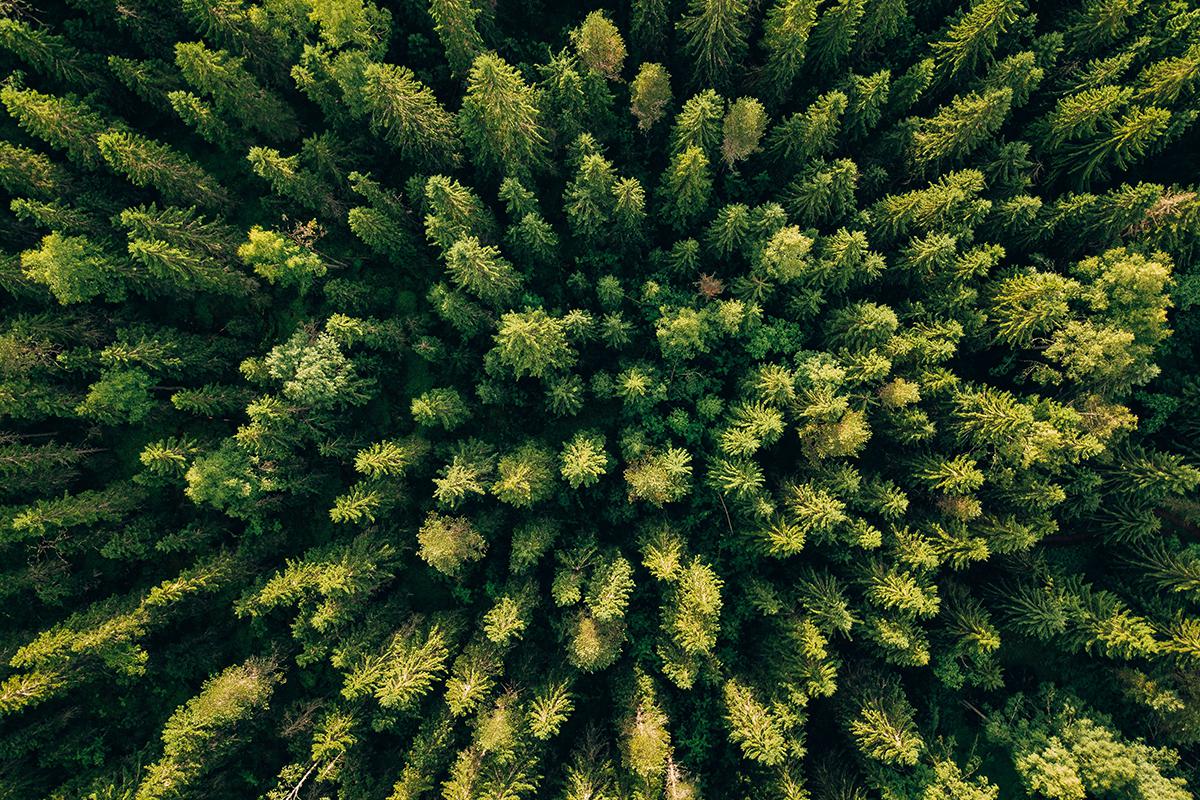Фото: nblx / Shutterstock / FOTODOM