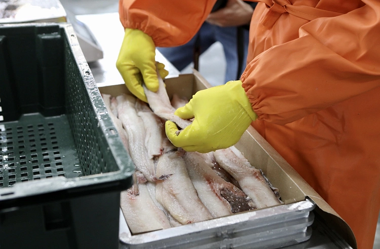 Правительство Приморского края