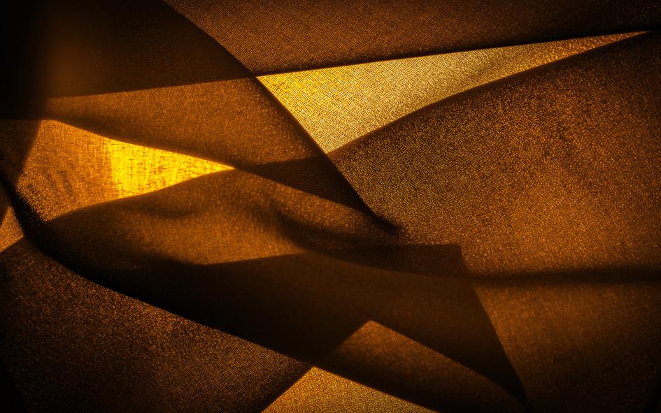 Фото: Shutterstock