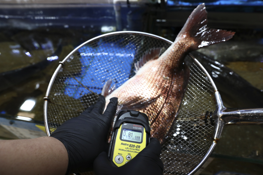 Chung Sung-Jun / Getty Images