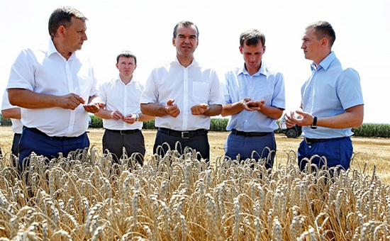 Кондратьев: Турецкая пошлина на экспорт зерна не ударит по АПК Кубани