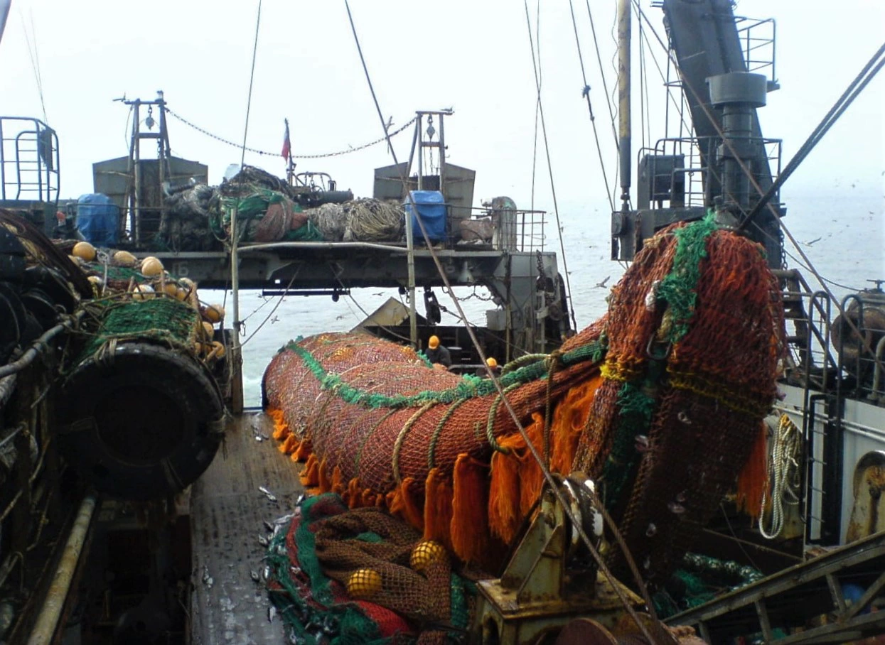 РБК Приморье