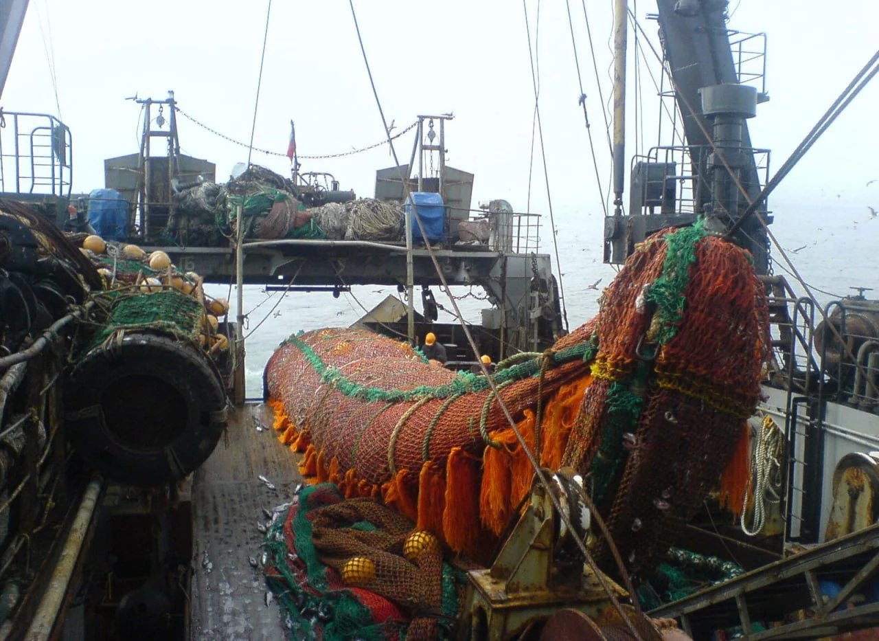 РБК Приморье 