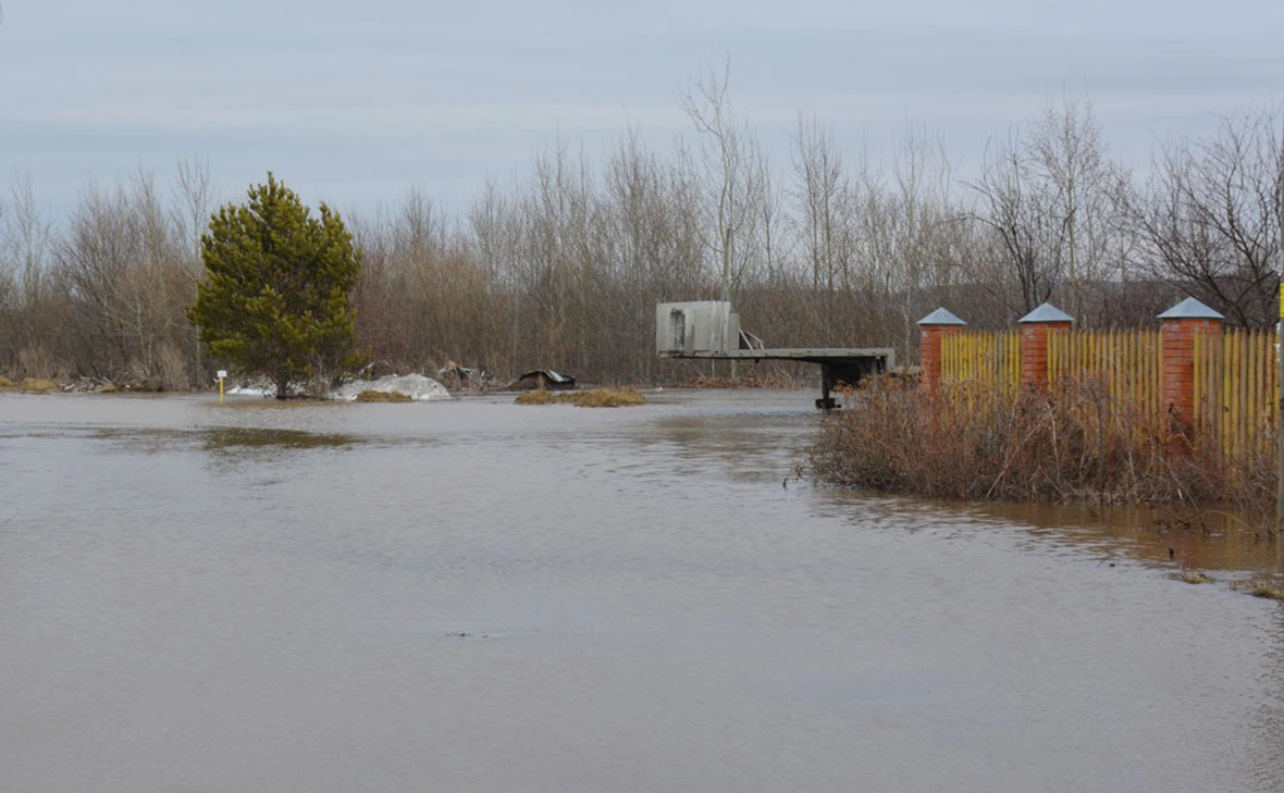 VyacheslavChernous / Telegram