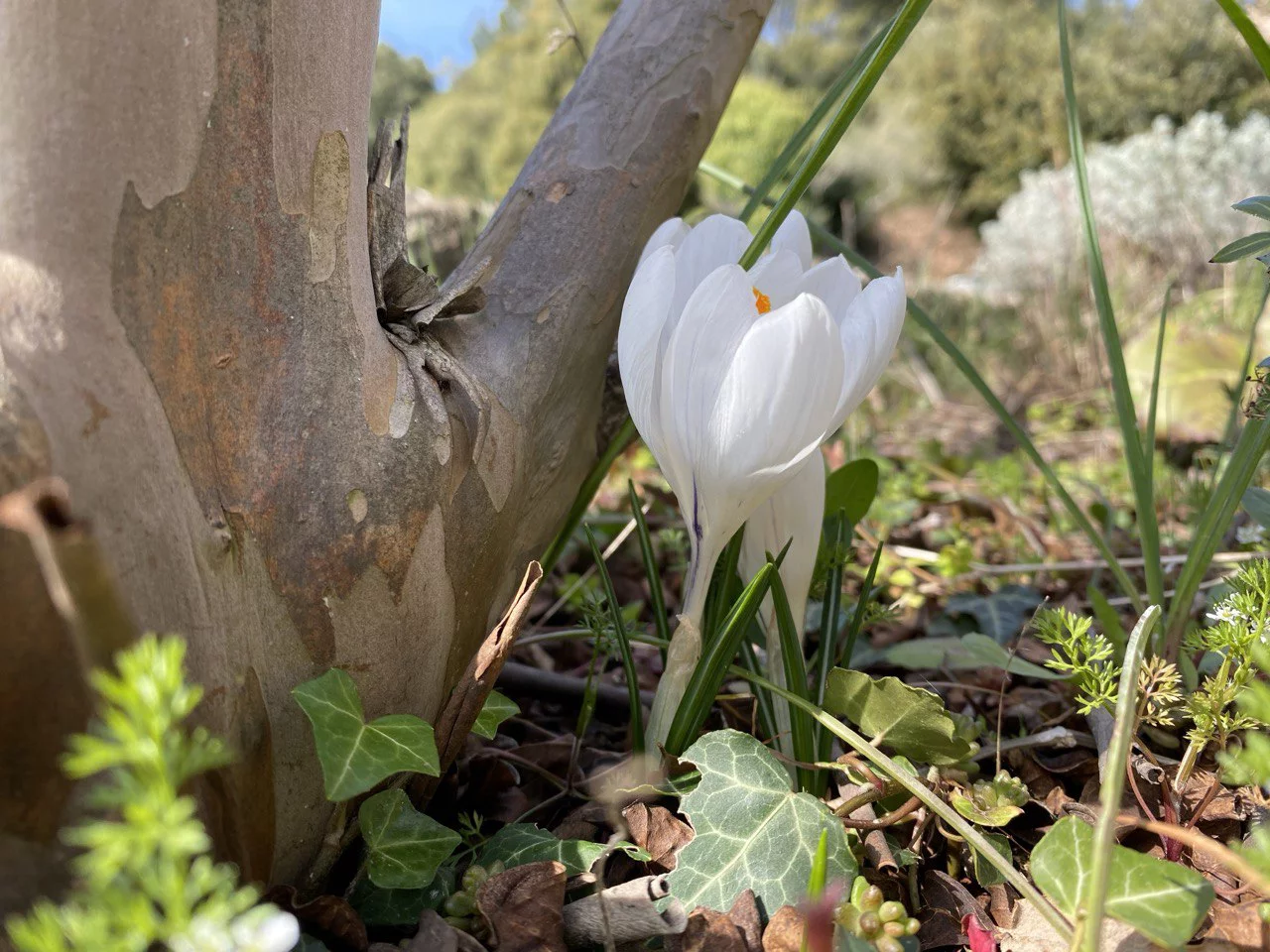 РБК Татарстан