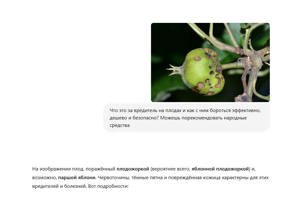 Советы чат-бота ChatGPT