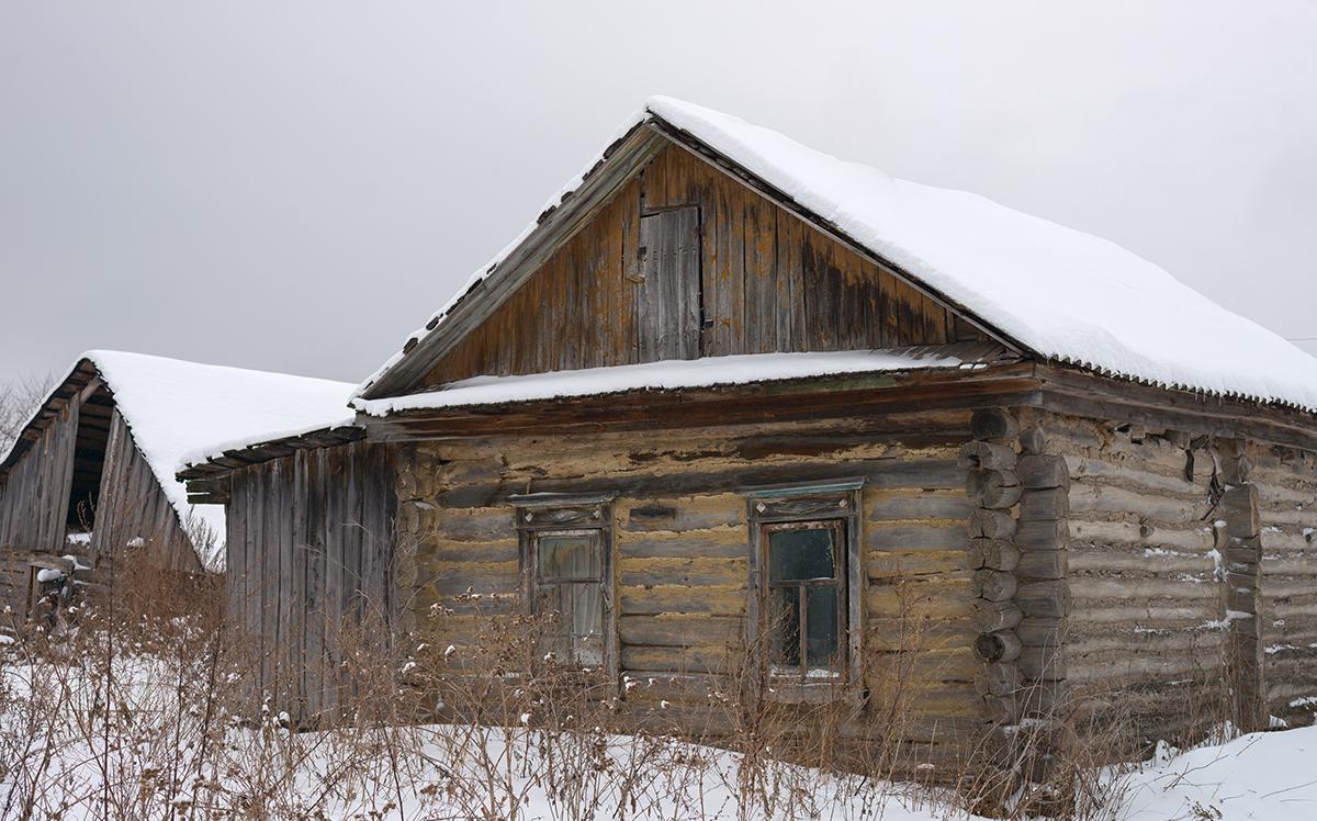 Фото: Dmitry Strizhakov / Shutterstock / FOTODOM