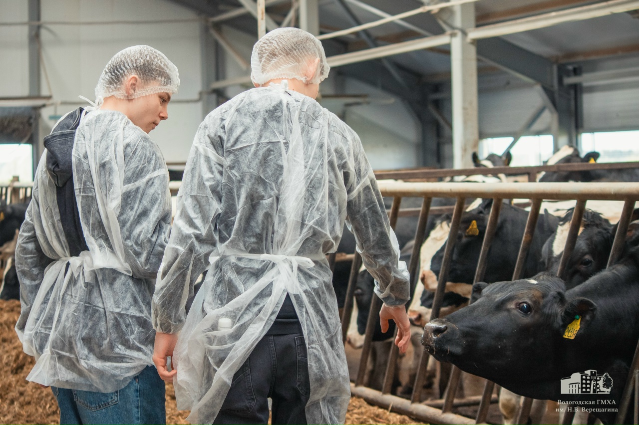 Фото: Вологодская ГМХА имени Верещагина