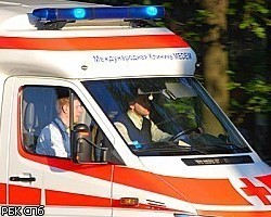 Под Петербургом разбился автобус, погибли 8 пассажиров