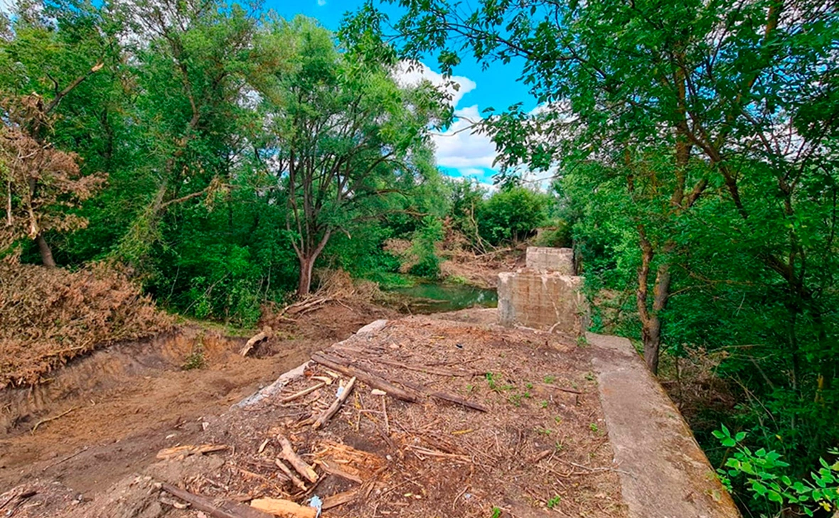 Светлана Коновалова / «Рязанские новости»
