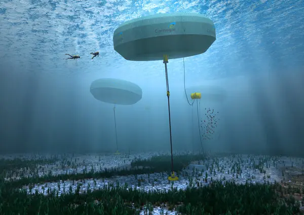Устройства Wave Energy Project в Перте, Австралия
