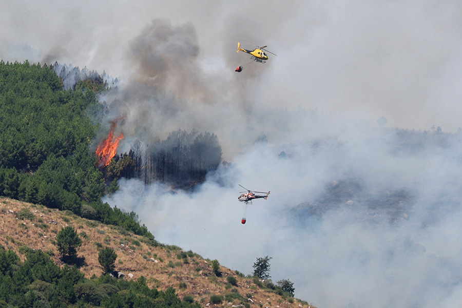 Фото: Juan Medina / Reuters