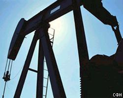 Экспорт российской нефти в I квартале снизился на 0,3%