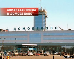 Открыта горячая линия в связи с аварией в Домодедово
