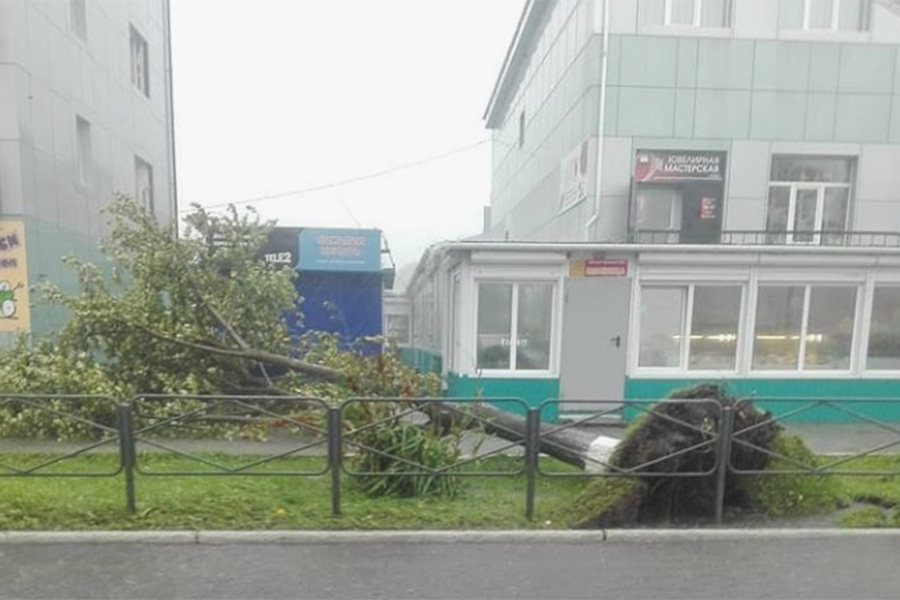 Сильный ветер повалил деревья, здания получили повреждения
