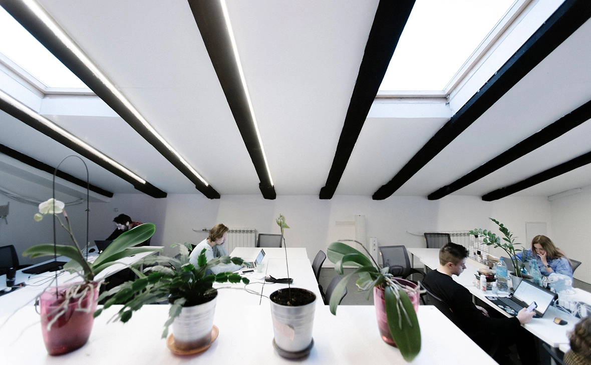 Михаил Гребенщиков / РБК