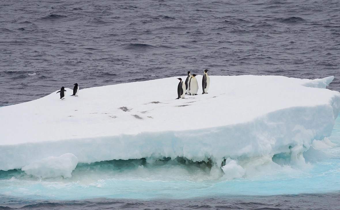 Liu Shiping / Xinhua / Global Look Press