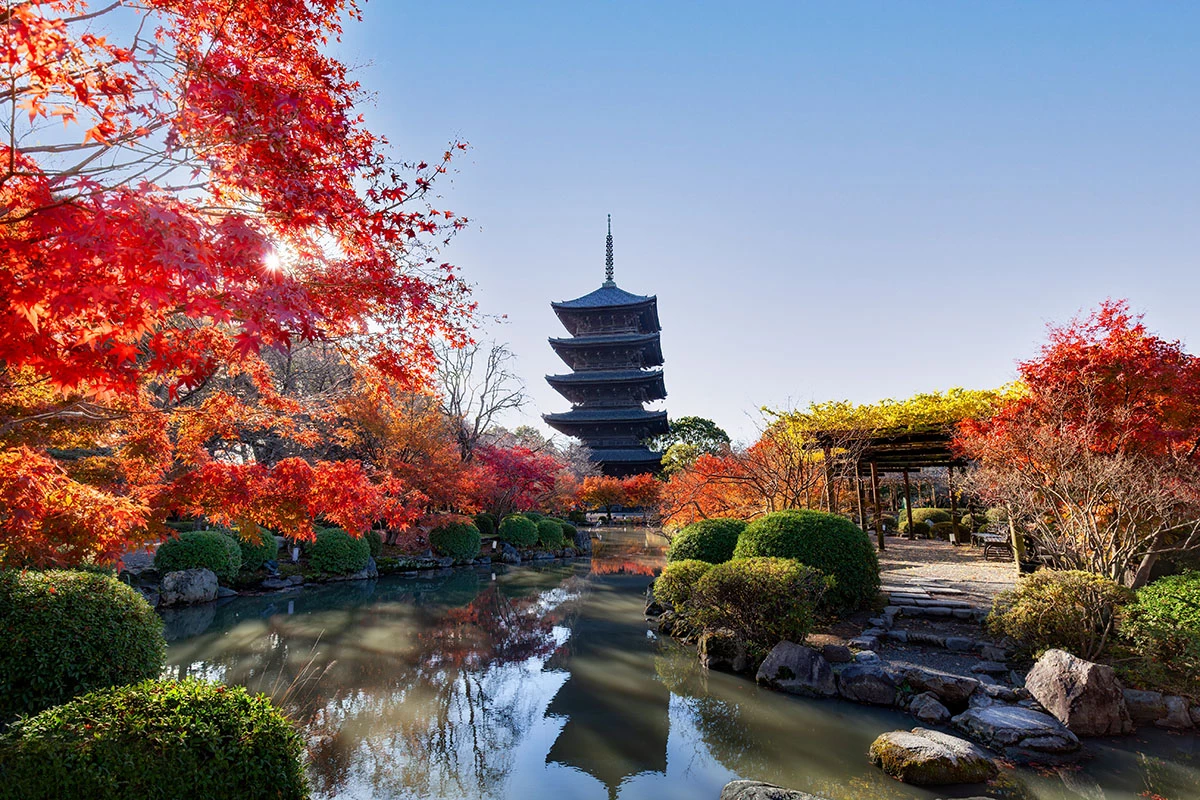 <p>Вид на пятиэтажную пагоду и сад с осенними листьями в храме Тодзи в Киото, Япония. Хоть усаживайся и принимайся сочинять хайку</p>