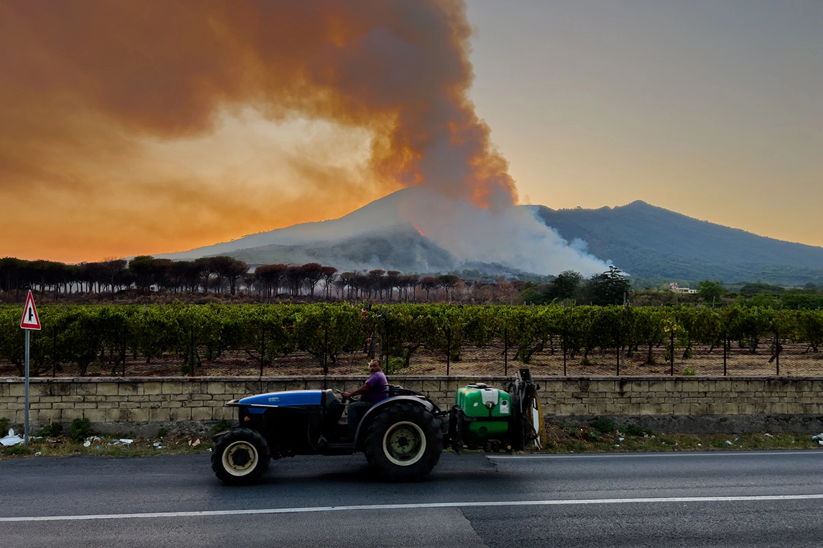 Пожар у подножия вулкана Везувий в Италии, который начался 8 августа, повредил 500 га виноградников и сельскохозяйственных угодий в регионе Кампания и угрожает сорвать сезон сбора урожая винограда