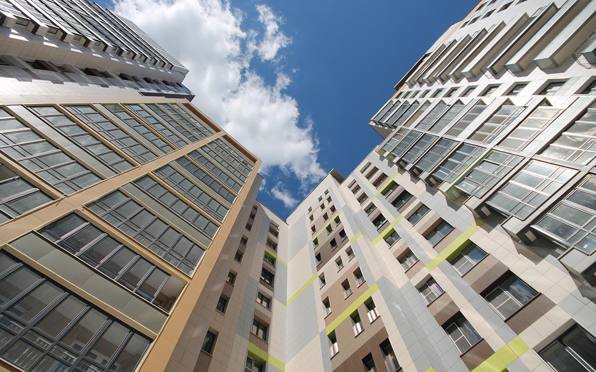 Фото: Anastasiia Rogozhkina / Shutterstock / FOTODOM