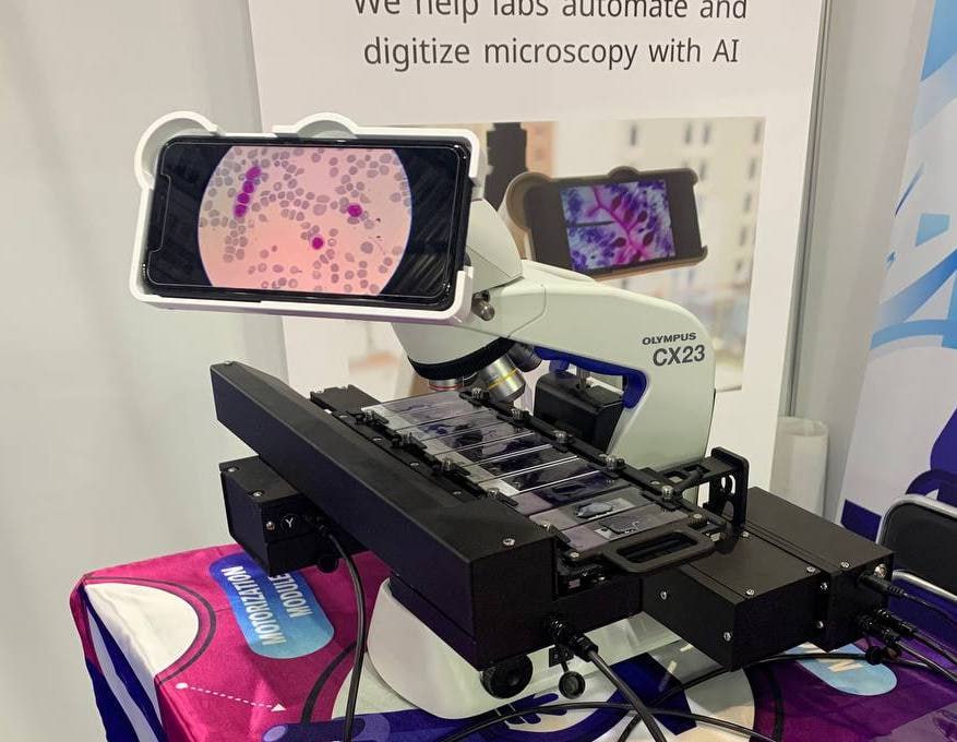 Фото: предоставлено пресс-службой компании Celly